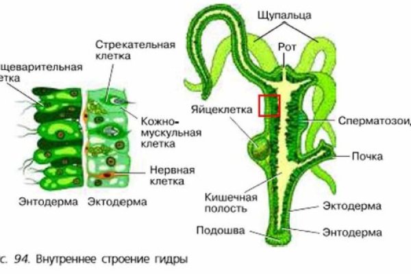 Регистрация на кракен